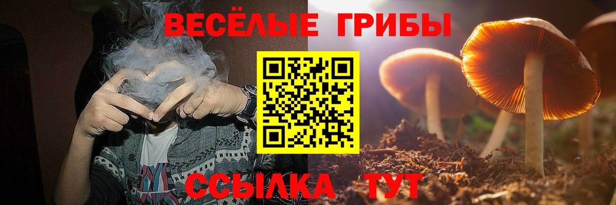 Галлюциногенные грибы ЛСД Избербаш