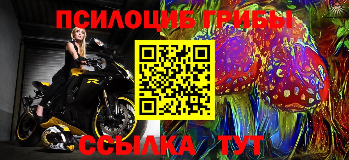 Избербаш  Галлюциногенные грибы мицелий  Вход с VPN  Галлюциногенные грибы мицелий 